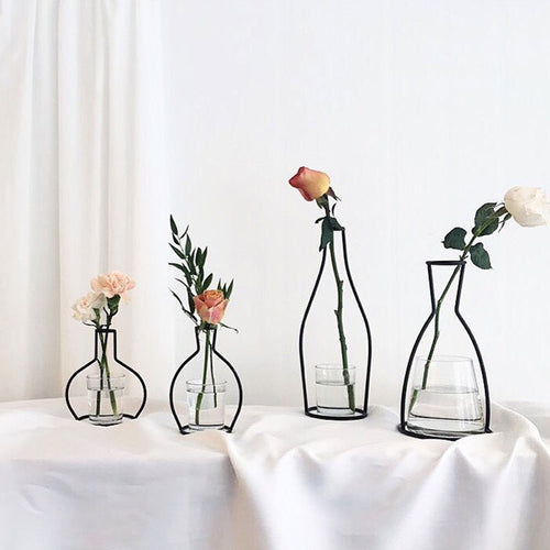 Iron Transparent Vase